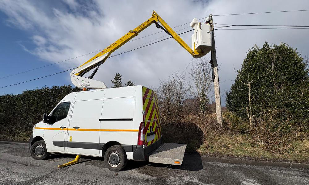 THE REALITY OF GREEN FLEETS IN THE UK